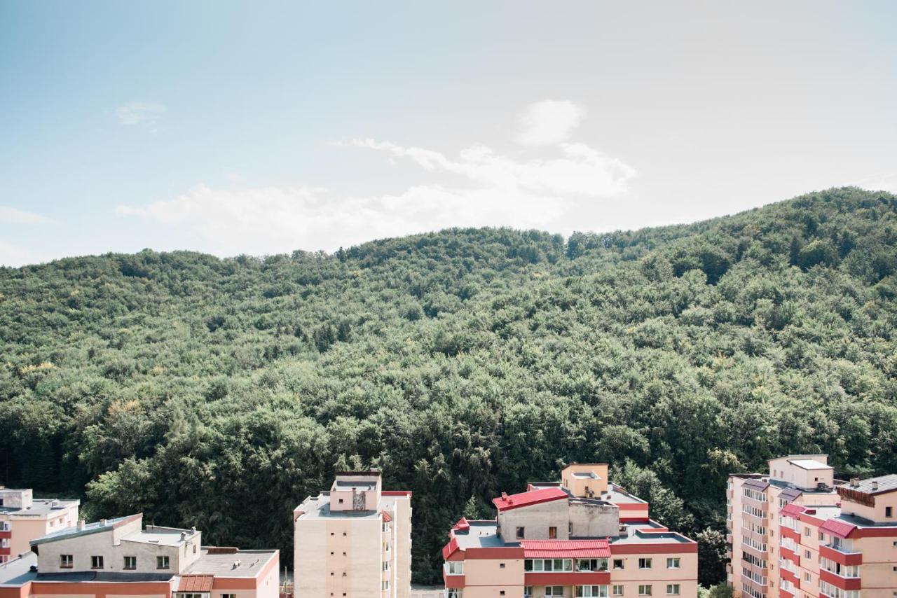 Nature Escape Apartament *