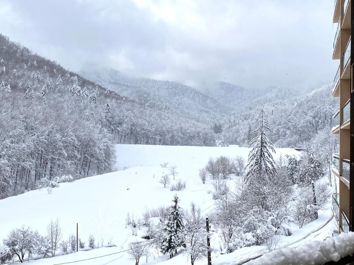 Nature Escape Apartment Brasov
